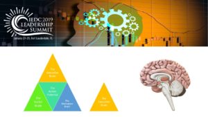 Intro Slide about the parts of the brain I'll be covering in this series