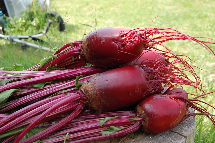 endive-beet-and-red-onion-salad-2