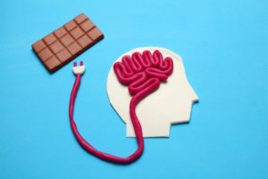 Schematic of a man with Chocolate plugged into the Brain